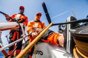 Team Alvimedica