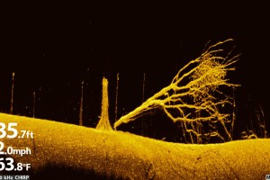 Alcune immagini che mettono in risalto la chiarezza e il dettaglio di MEGA Imaging, di Humminbird