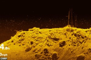 Alcune immagini che mettono in risalto la chiarezza e il dettaglio di MEGA Imaging, di Humminbird