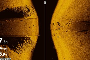 Alcune immagini che mettono in risalto la chiarezza e il dettaglio di MEGA Imaging, di Humminbird