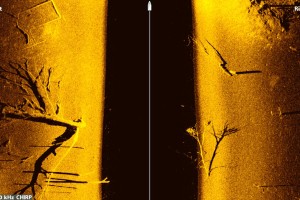 Alcune immagini che mettono in risalto la chiarezza e il dettaglio di MEGA Imaging, di Humminbird