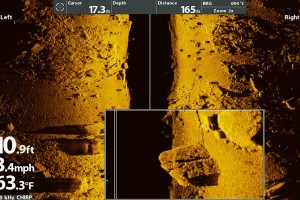 Alcune immagini che mettono in risalto la chiarezza e il dettaglio di MEGA Imaging, di Humminbird