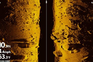 Alcune immagini che mettono in risalto la chiarezza e il dettaglio di MEGA Imaging, di Humminbird