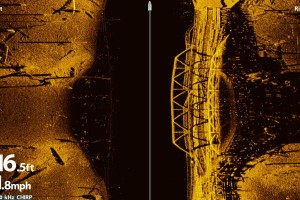 Alcune immagini che mettono in risalto la chiarezza e il dettaglio di MEGA Imaging, di Humminbird