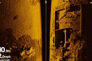 Alcune immagini che mettono in risalto la chiarezza e il dettaglio di MEGA Imaging, di Humminbird