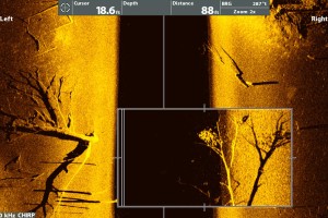 Alcune immagini che mettono in risalto la chiarezza e il dettaglio di MEGA Imaging, di Humminbird