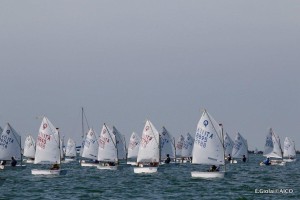 Iniziata con 3 regate la 3^ tappa del Trofeo Optimist Italia Kinder + Sport a Ravenna