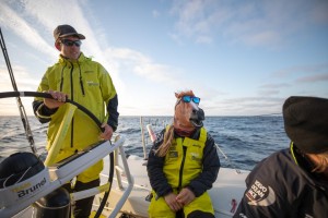 Leg 9, from Newport to Cardiff, day 7 on board Brunel. Peter Burling and the horse. 26 May, 2018. Sam Greenfield/Volvo Ocean Race