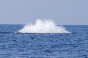 Interventi in Liguria e Lazio per neutralizzare ordigni esplosivi