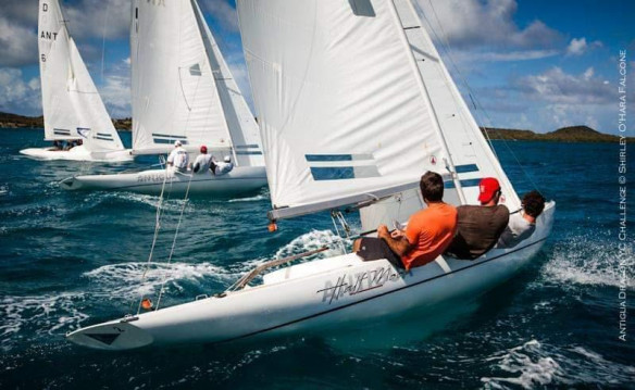 Dragoni Antigua 2019