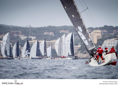 The 16th Sail Racing PalmaVela
