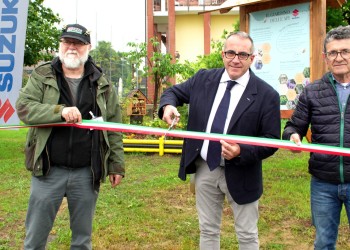 Suzuki per l’ambiente: il giardino delle API Suzuki