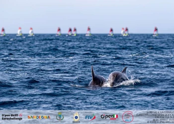 Final Results In! OpenSkiff EuroChallenge Delivers in Sunny Sardinia