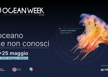 One Ocean Week 2025: l’oceano che non conosci