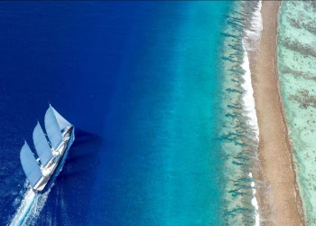 TRIDENT 810: a true world cruiser is ready to build
