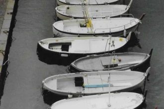I gozzi: vale la pena di parlarne ancora