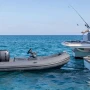 Gommoni Callegari punta anche sui tender: acquisita Geniuss