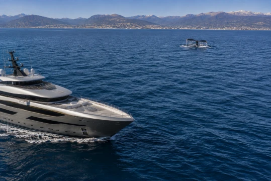 Perché la sostenibilità ambientale determinerà il valore degli yacht del futuro